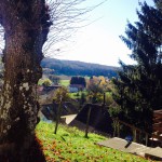 Marche gourmande