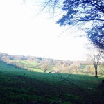 Marche gourmande