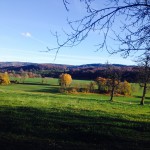 Marche gourmande
