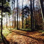 Marche gourmande