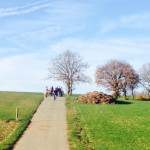 Marche gourmande