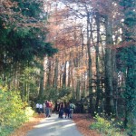 Marche gourmande